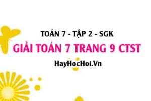 Giải Toán 7 trang 9 tập 2 Chân trời sáng tạo SGK